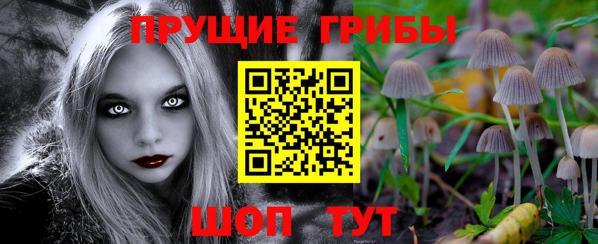 Псилоцибиновые грибы GOLDEN TEACHER Трёхгорный